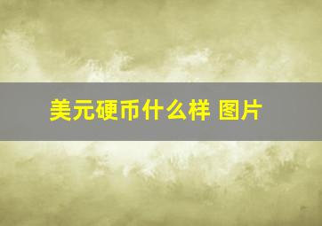 美元硬币什么样 图片